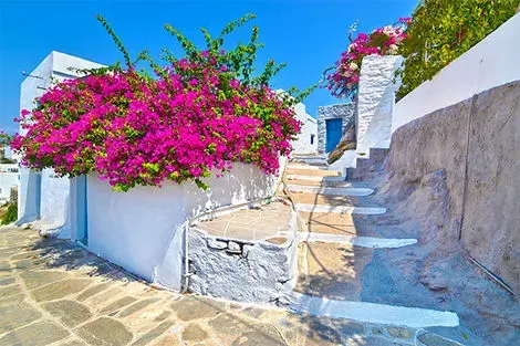 Grece : Combiné hôtels Combiné 4 îles : Sifnos - Milos - Paros - Santorin en 14 nuits