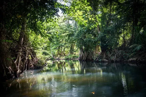 Guadeloupe : Combiné hôtels Combiné 2 îles 