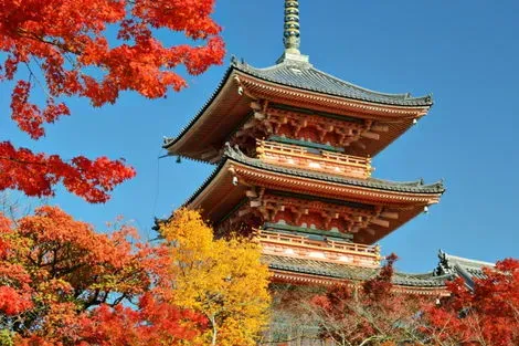 Japon : Combiné hôtels Trilogie Japonaise : Tokyo, Kyoto et Osaka