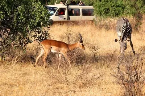 Kenya : Fram Selection Barracuda 4* avec 1 nuit Tsavo Est