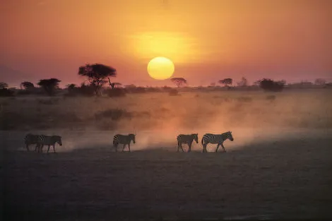 Kenya : Combiné circuit et hôtel Hôtel Southern Palms Beach avec 3 nuits Tsavo Est / Ouest et Amboseli