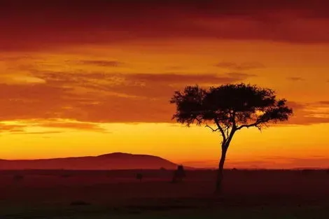 Kenya : Combiné hôtels Ôclub Experience Sun Palm Beach Hotel & Resort 4* + Safari 2 nuits dans le parc national de Tsavo