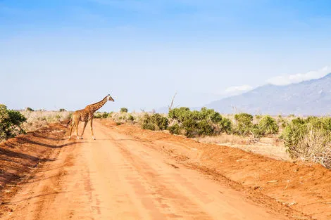 Kenya : Combiné circuit et hôtel Papillon Lagoon Reef 3* avec 1 nuit Tsavo est