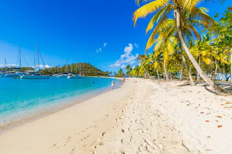 Martinique : Combiné croisière et hôtel A la découverte des Grenadines et extension 3 nuits Bambou