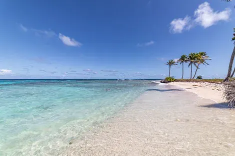 Martinique : Combiné croisière et hôtel A la découverte des Grenadines et extension au Village Sainte-Luce Pierre & Vacances