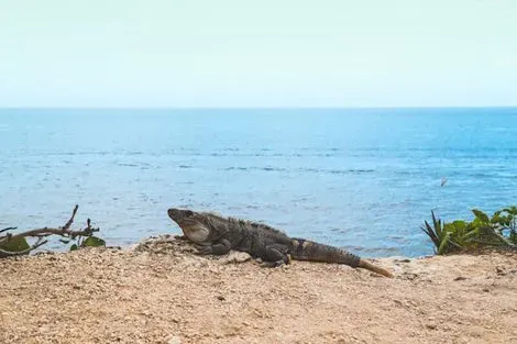 Mexique : Combiné circuit et hôtel Balade Yucateque avec 5 nuits de balnéaire à Cancun