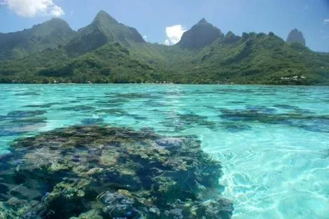 Polynesie Francaise : Circuit Divine Polynésie