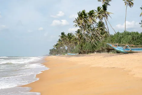 Sri Lanka : Combiné circuit et hôtel Framissima The Calm 4* et 3 jours de visites