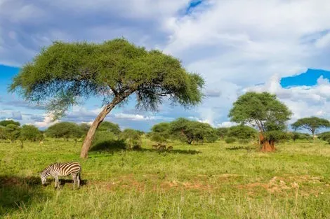 Tanzanie : Combiné circuit et hôtel Couleurs de Tanzanie & 3 nuits Zanzibar en Hôtel