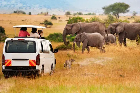 Tanzanie : Combiné circuit et hôtel Framissima Evasion Royal Mandarin Hotel & Resort 5* avec 2 nuits au Parc de Selous