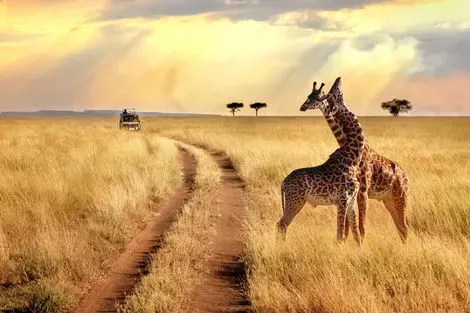 Tanzanie : Combiné circuit et hôtel JAZ Amaluna - Adult Only 5* avec 1 nuit au Parc de Selous