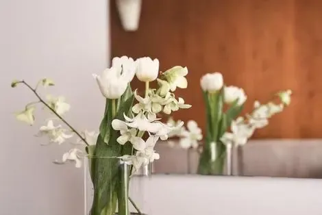 Crète : Hôtel Lato Boutique