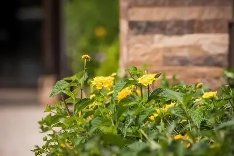 Crète : Hôtel Areti Suites