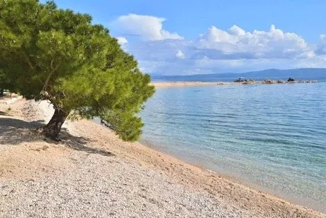 Croatie : Hôtel Apartments Jela