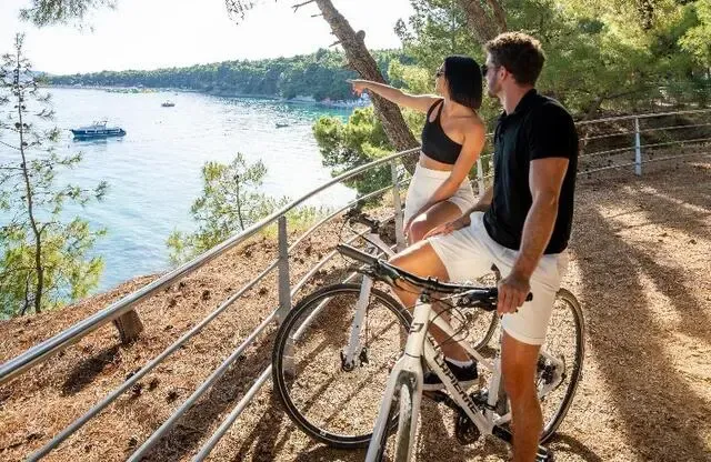Croatie : Hôtel Bluesun Hotel Bonaca