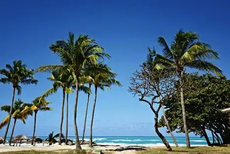 Cuba : Hôtel Starfish Cuatro Palmas