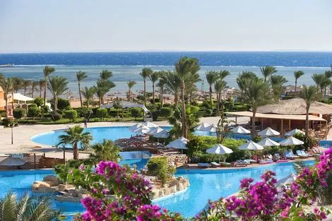 Egypte : Hôtel Amwaj Oyoun Resort & Spa