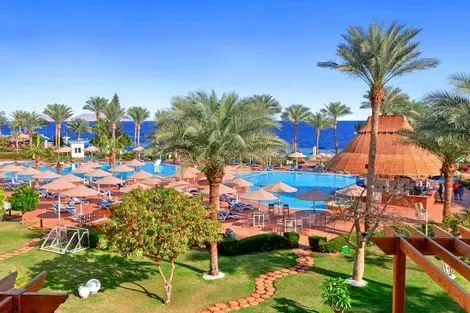 Egypte : Hôtel Pickalbatros Royal Grand Resort