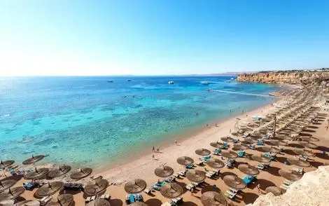 Egypte : Hôtel Reef Oasis Beach Resort