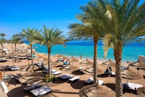 Egypte : Hôtel Sunrise Grand Select Montemare