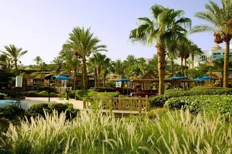 Egypte : Hôtel The Savoy