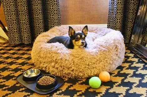 Etats-Unis : Hôtel Ameritania At Times Square