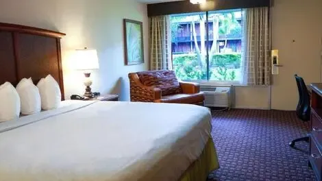 Etats-Unis : Hôtel Rosen Inn International