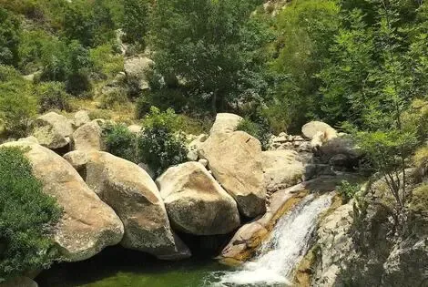 France Corse : Hôtel Gite Du Chalet Pietri
