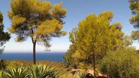 France Corse : Hôtel Auberge Ferayola