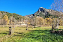 France : Camping Flower Camping Le Clot du Jay