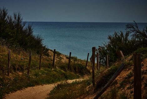 France : Camping La Côte Sauvage