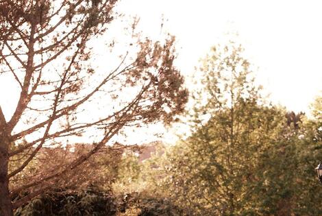 vol+hotel Sans Transport Slow Village Séveilles 5* France Saint-Pierre-des-Landes