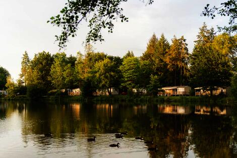 France : Camping Sunelia l'Etang de Sologne