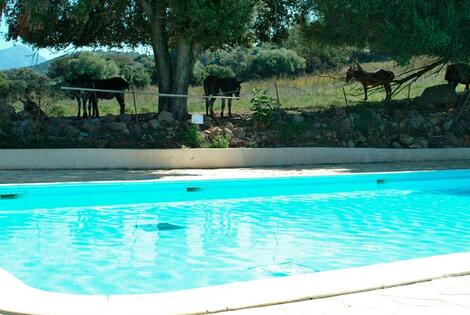 France : Camping U Sommalu