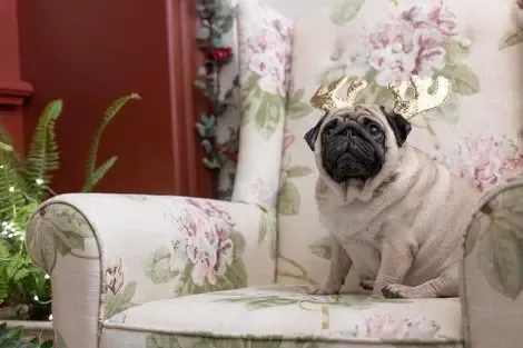 Grece : Hôtel Gatto Perso Luxury Apartments