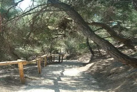 Grece : Hôtel Thea Hotel