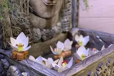 Hongrie : Hôtel Smart Hotel Budapest