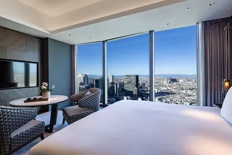 Japon : Hôtel Bellustar Tokyo, A Pan Pacific Hotel