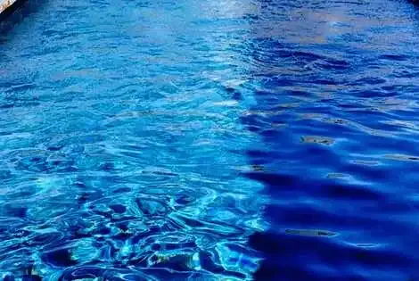 Malte : Hôtel The Gomerino Hotel