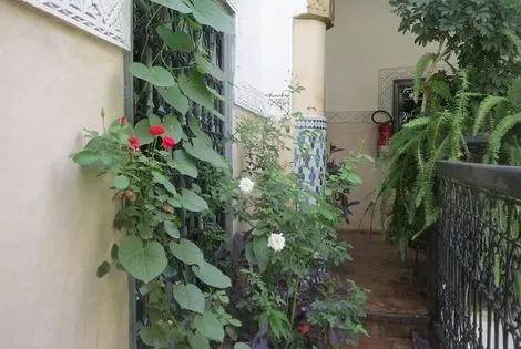 Maroc : Hôtel Riad Maizie