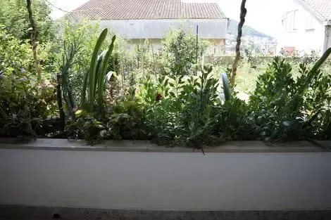 Montenegro : Hôtel Jele Rooms