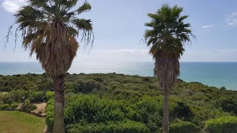 Portugal : Hôtel Pestana Palm Gardens