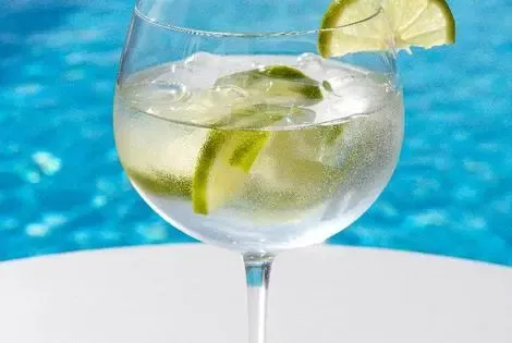 Portugal : Hôtel Sana Reno