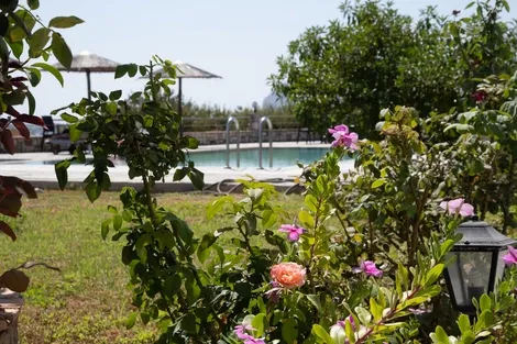 Rhodes : Hôtel Gardenia Hotel