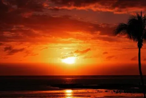 Rodrigues : Hôtel Ambre Resort & Spa