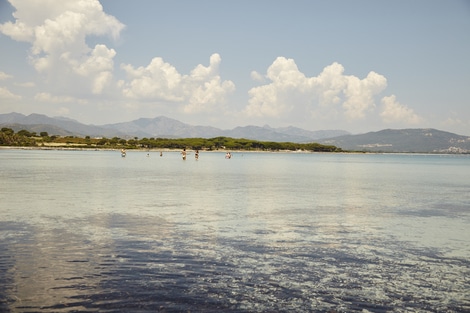 Sardaigne : Hôtel Cala Mirto Hotel