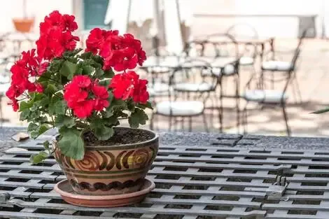 Sicile et Italie du Sud : Hôtel Etna Hotel