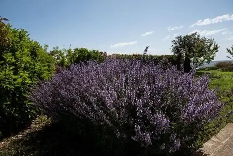Sicile et Italie du Sud : Hôtel La Dimora Di Spartivento, Signature Collection
