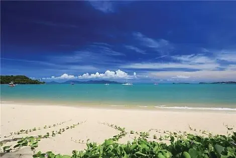 Thailande : Hôtel Celes Beachfront Koh Samui