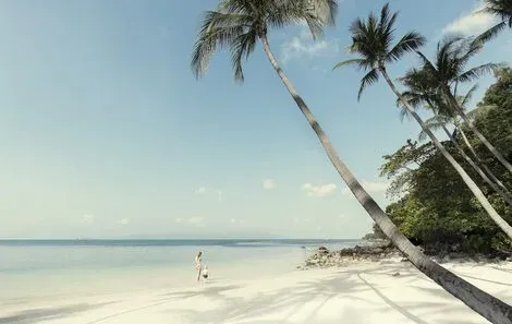 Thailande : Hôtel Four Seasons Resort Koh Samui